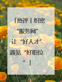 热评丨织密“服务网” 让“好人才”遇见“好职位”